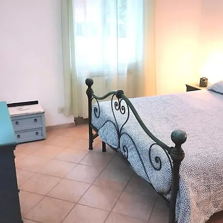 Giava Rome